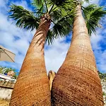 Ici Et Ailleurs, Entre Et Foret La Tranche-sur-Mer