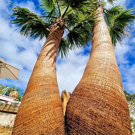 Ici Et Ailleurs, Entre Et Foret La Tranche-sur-Mer