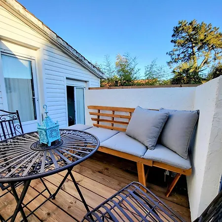 Ici Et Ailleurs, Entre Et Foret *