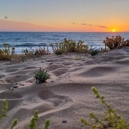 Ici Et Ailleurs, Entre Et Foret ヴィラ ラ・トランシュ・シュル・メール