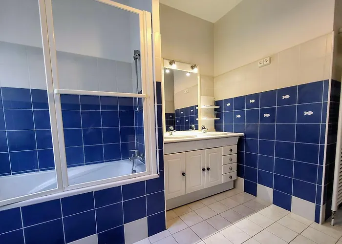 Ici Et Ailleurs, Entre Et Foret *