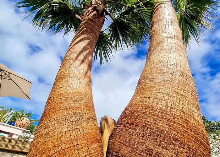 Ici Et Ailleurs, Entre Et Foret La Tranche-sur-Mer